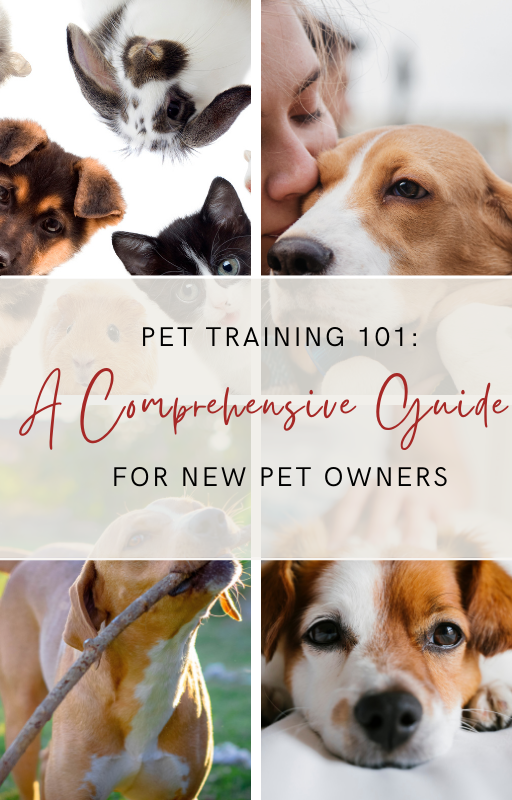 Pet Training 101: A Comprehensive guide for new pet owners