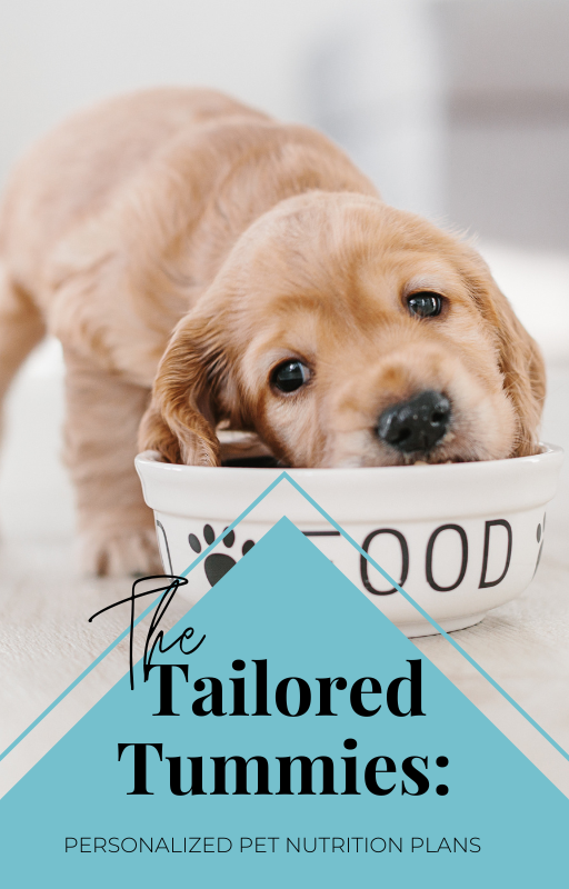 Tailored Tummies: Personalized Pet Nutrition Plans