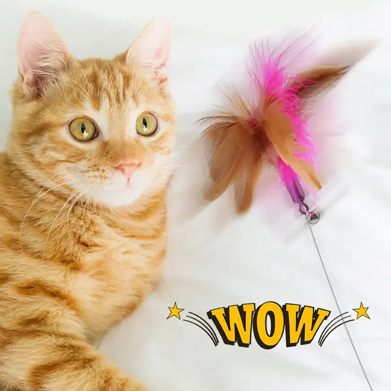 Interactive Cat Toy Teaser Stick