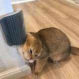 Cat Massage Brush